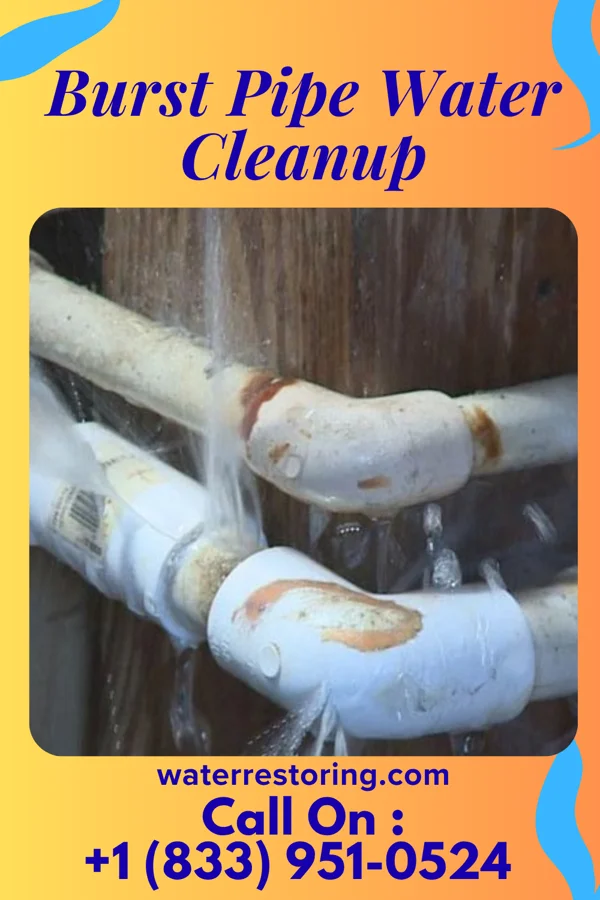 Burst Pipe Water Cleanup in Vibbard, MO