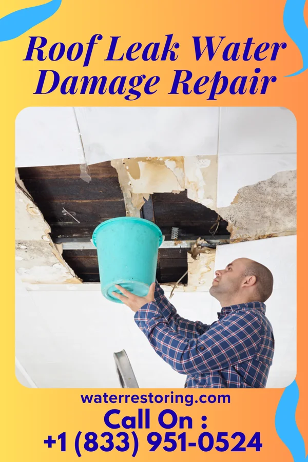 Roof Leak Water Damage Repair in Vibbard, MO