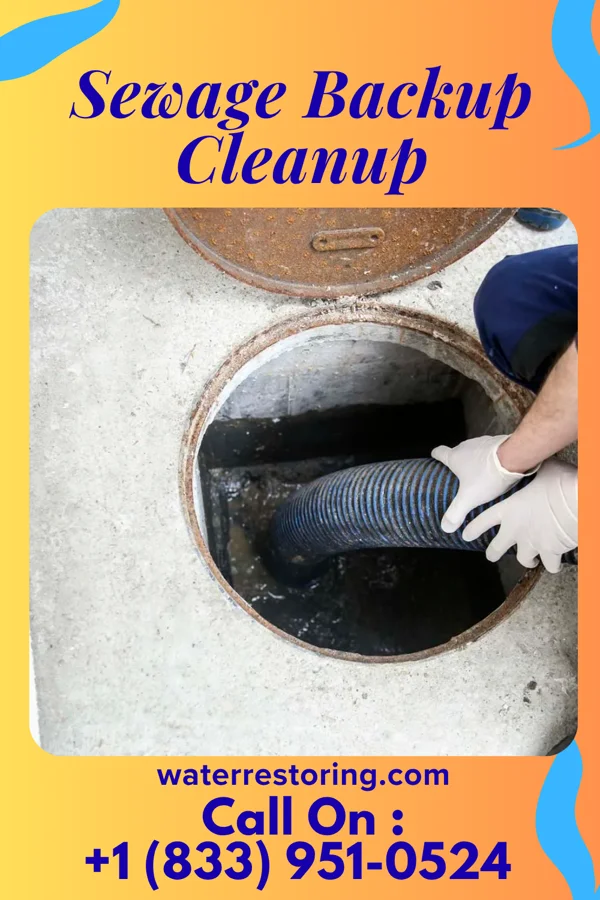 Sewage Backup Cleanup in Vibbard, MO