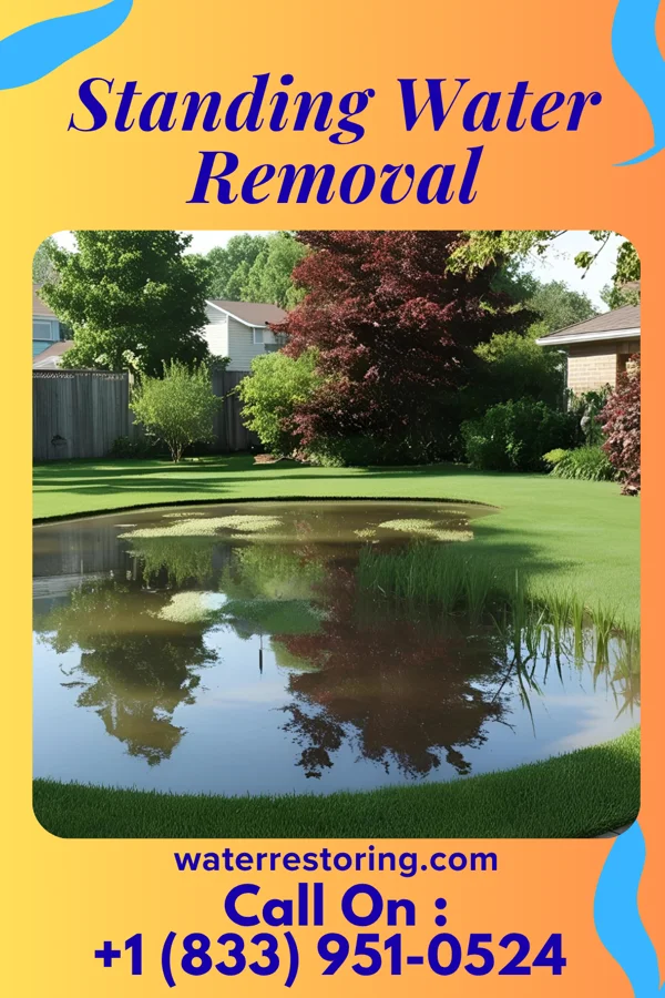 Standing Water Removal in Vibbard, MO